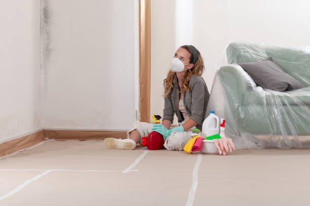 Reliable Mold Remediation contractor in Canton, IL by Mold Remediation HQ